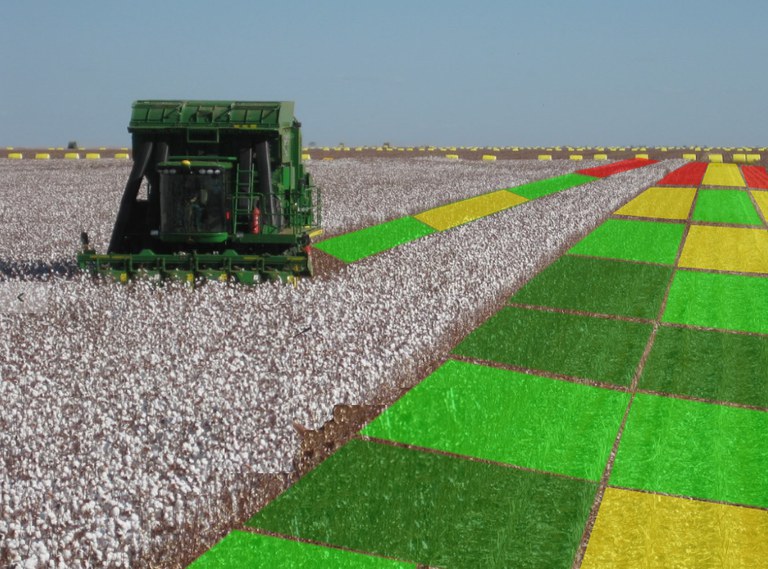 Divulgação/Grupo SLC Agrícola