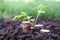 Desembolso do crédito rural somou R$ 25,8 bilhões em julho