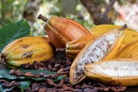 Divulgada lista dos produtos que terão bônus de desconto do PGPAF em junho