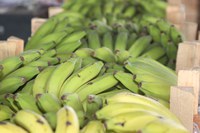 Divulgada lista dos produtos que terão bônus de desconto do PGPAF em outubro