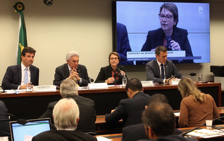 Ministra Tereza Cristina participa de audiência pública na Câmara dos Deputados sobre registro de defensivos agrícolas
