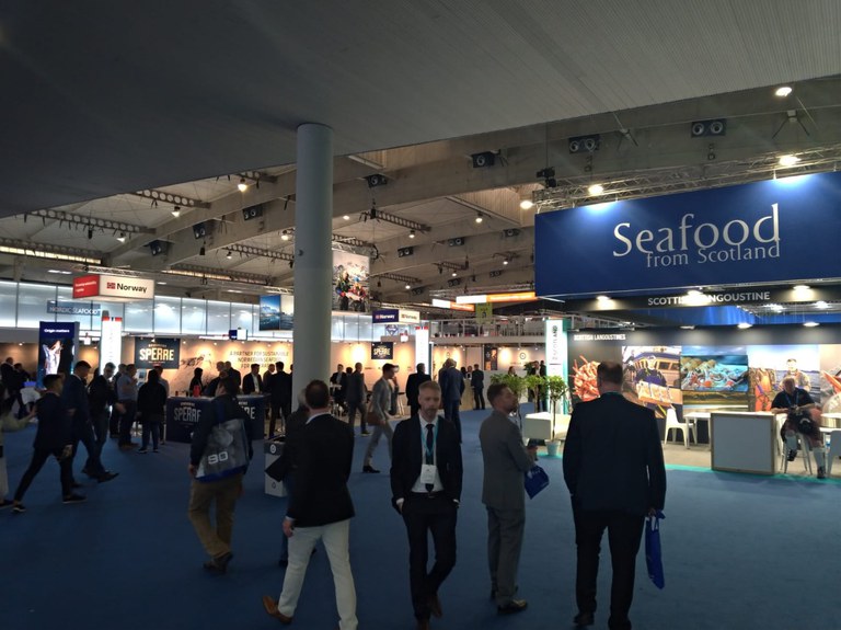 WhatsApp Image 2022-04-27 at 13.53.15.jpeg