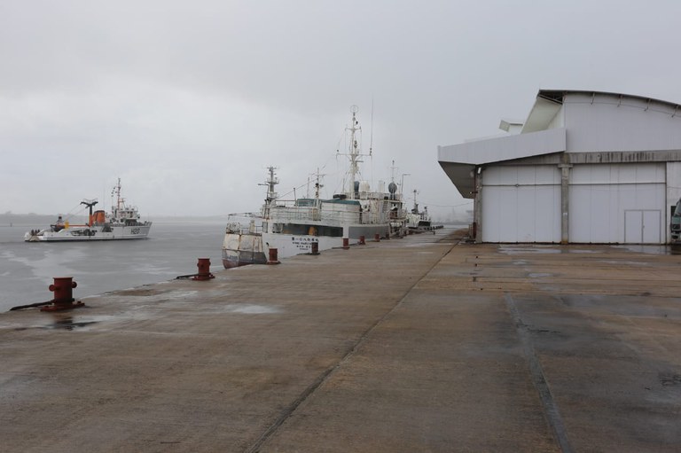 WhatsApp Image 2022-06-02 at 11.31.21.jpeg