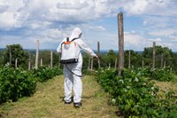 Em parceria com instituições, governo lança programa nacional de habilitação de aplicadores de agrotóxicos