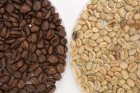 Embarques de café somam 18,3 milhões de sacas no acumulado do ano