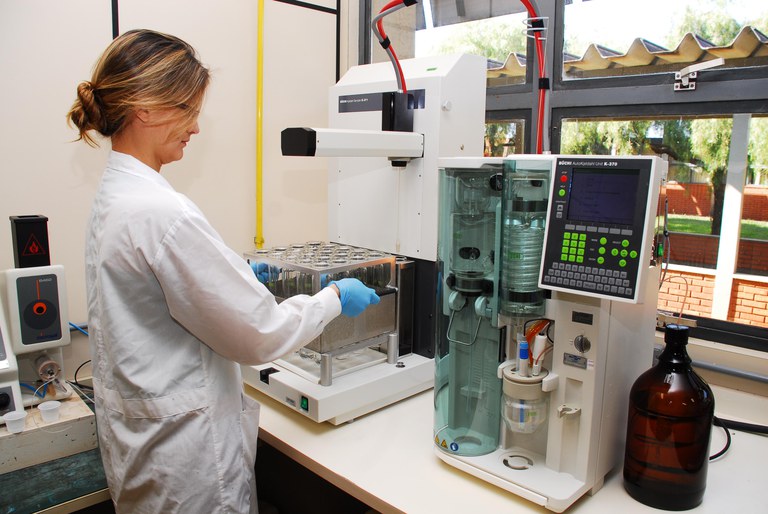 Gustavo Porpino/Embrapa