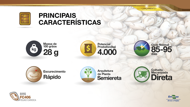 feijão Principais características.png