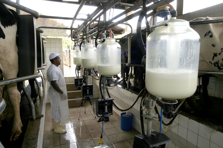 curso de leite.jpg