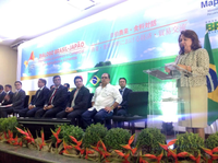 Encontro Brasil-Japão reúne mais de 600 pessoas em Palmas