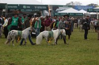 Expointer tem desfile dos grandes campeões da 45ª edição