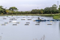 Exportação de pescados dobra no primeiro semestre de 2022