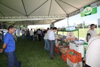 Feira esclarece consumidor sobre como identificar produtos orgânicos