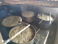 Fiscalização em Minas Gerais apreende mais de 146 mil litros de cachaça clandestina
