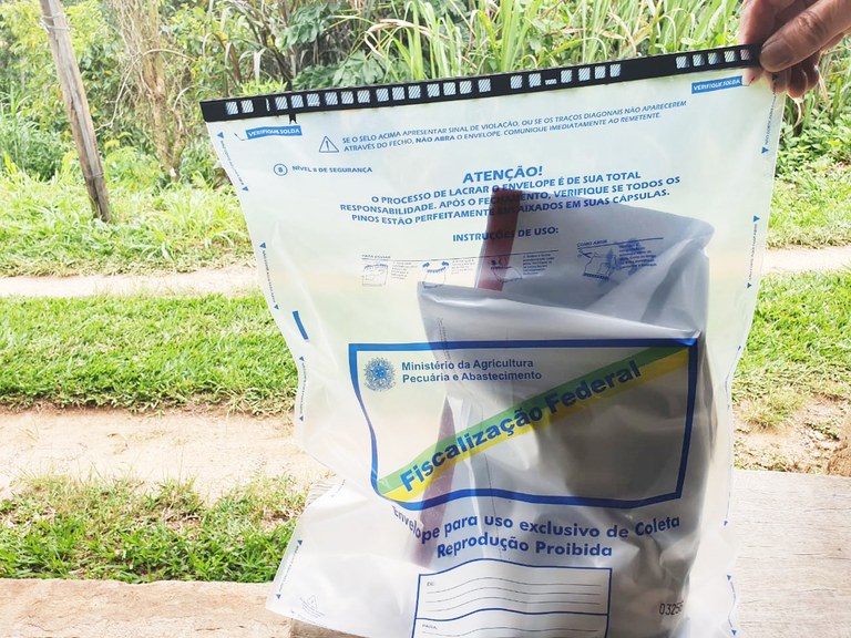 Força-tarefa de fiscalização de orgânicos em SP