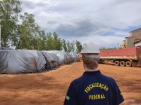 Força-tarefa embarga estabelecimentos clandestinos no Norte do Mato Grosso