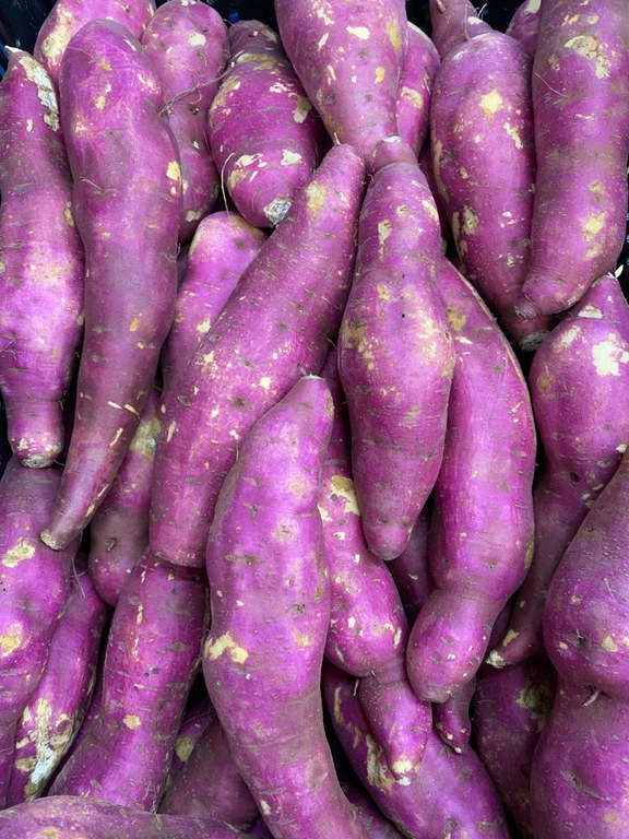 WhatsApp Image 2022-09-16 at 09.55.06 (3).jpeg