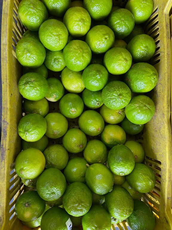 WhatsApp Image 2022-09-16 at 09.55.06 (4).jpeg