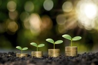 Fundos de investimento podem aumentar produção e sustentabilidade do agro