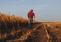 Governo libera R$ 693 milhões para o Programa de Seguro Rural em 2021