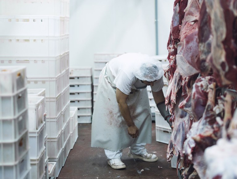 inspeçao frigorifico iStock-1151159089 2.jpg
