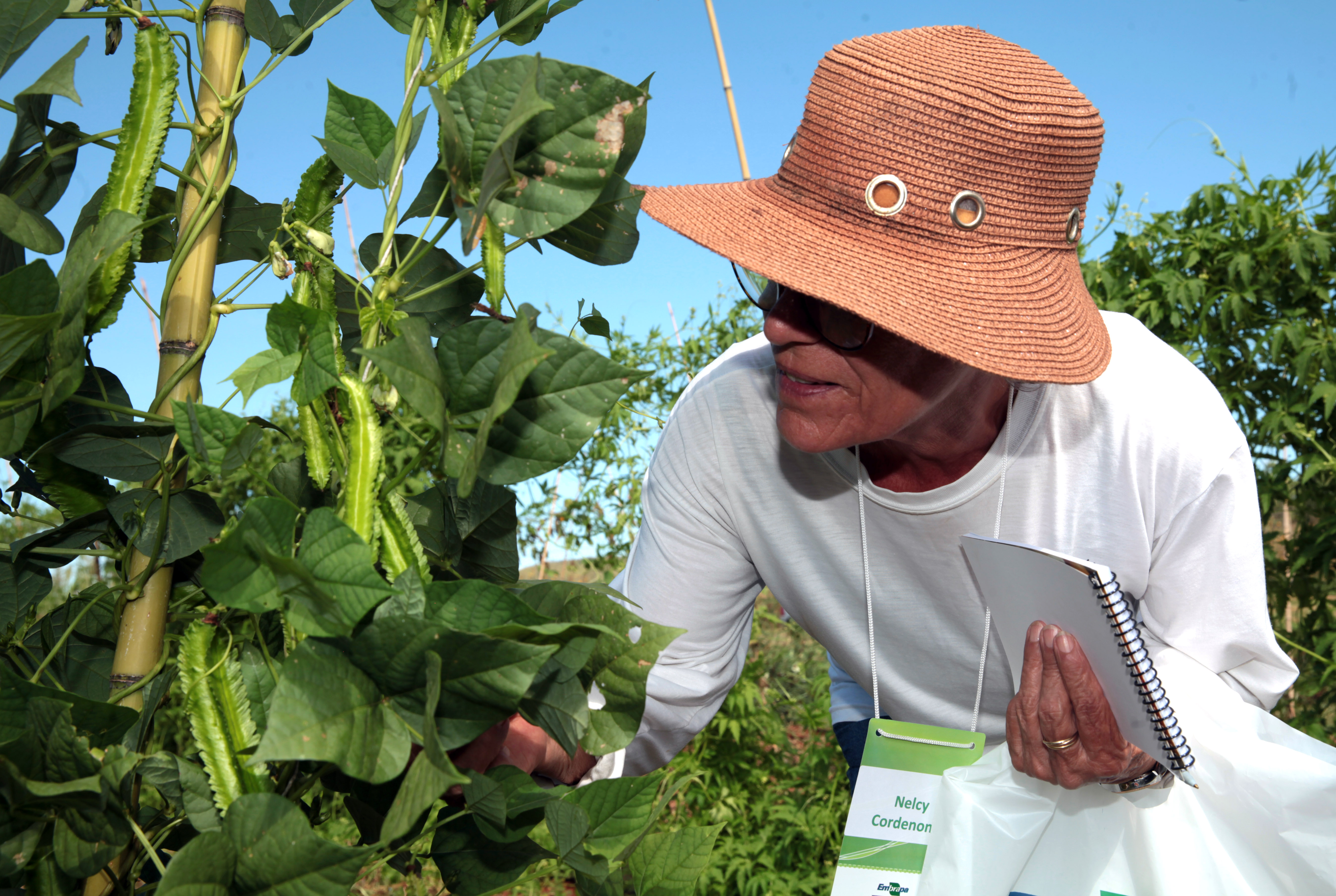 Antônio Araújo/Mapa