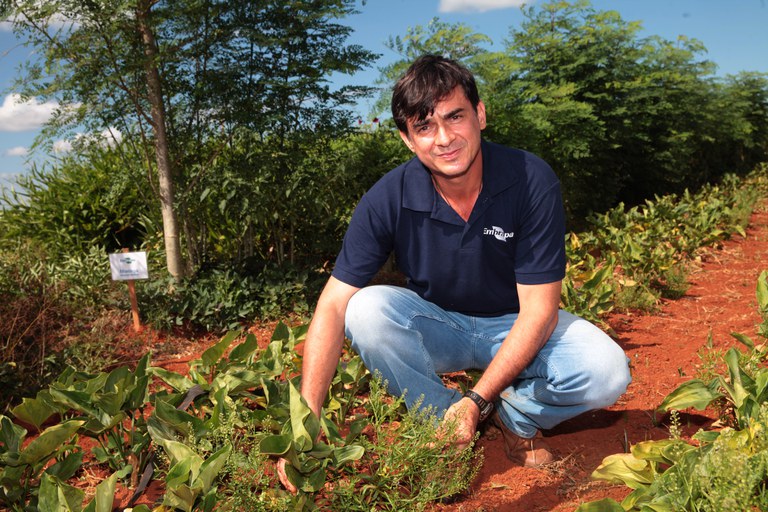 Antônio Araújo/Mapa