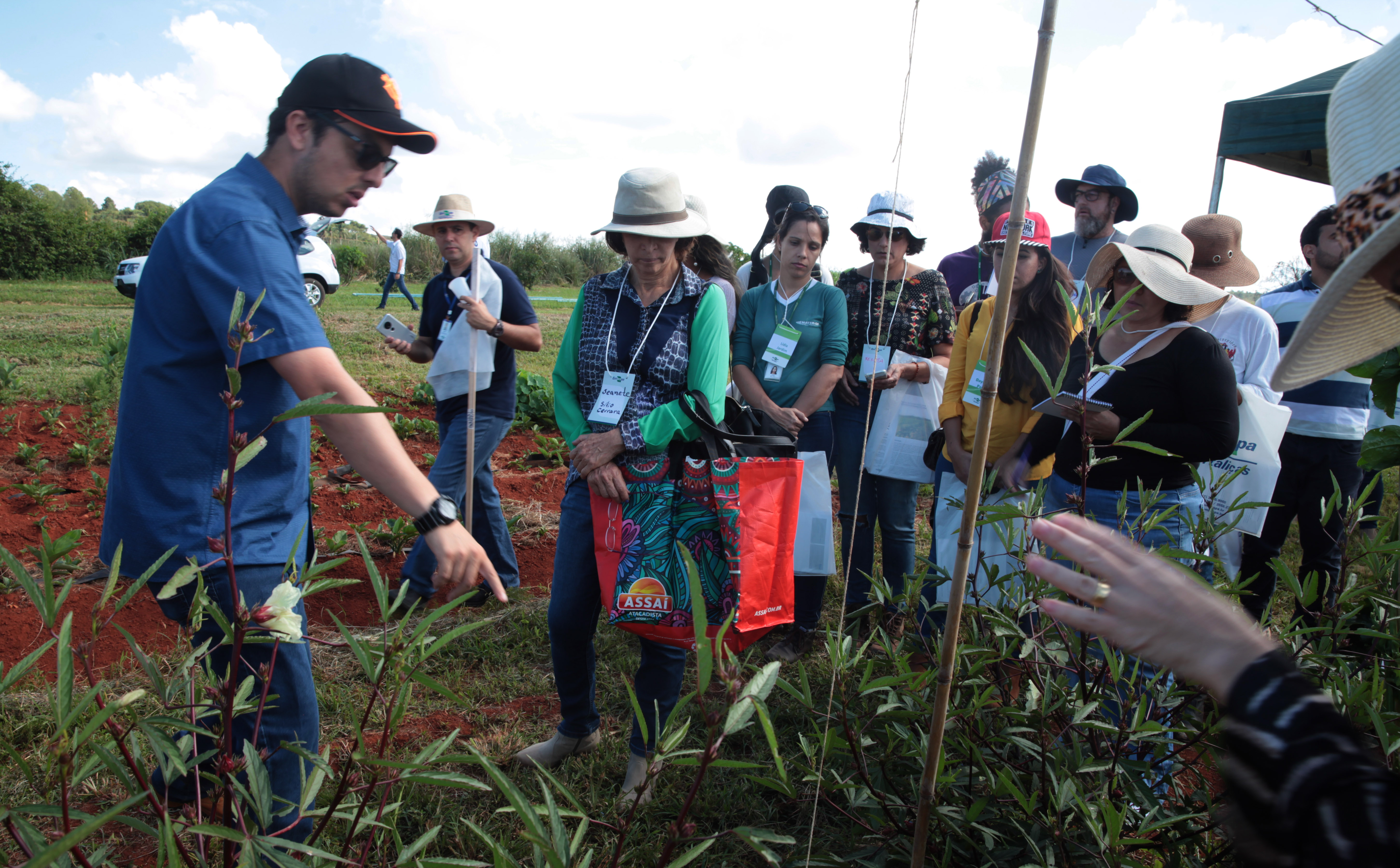 Antônio Araújo/Mapa