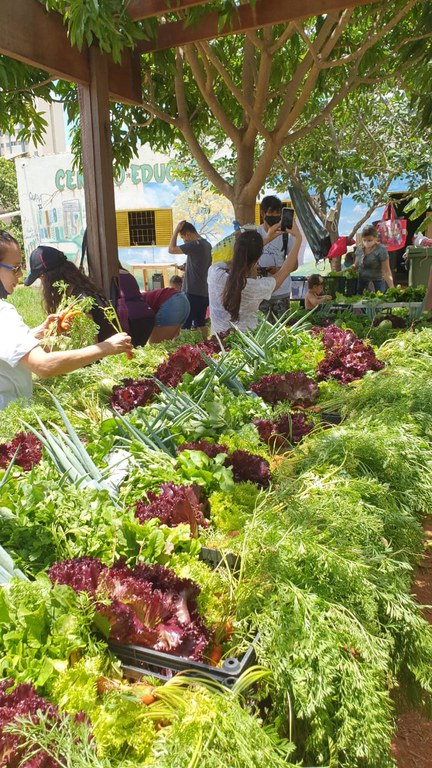 WhatsApp Image 2020-12-23 at 17.43.48 (1).jpeg