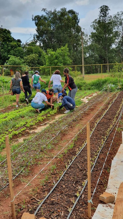 WhatsApp Image 2020-12-23 at 17.43.48.jpeg