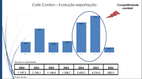 Decisão sobre importação de conilon é adiada