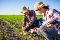 Inscrição ativa no CAF é requisito para acesso a programas e políticas para a agricultura familiar
