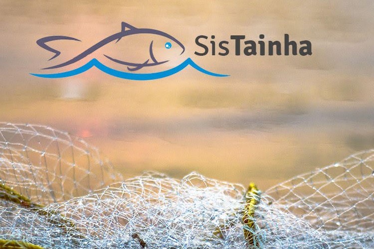 sistainha.jpg