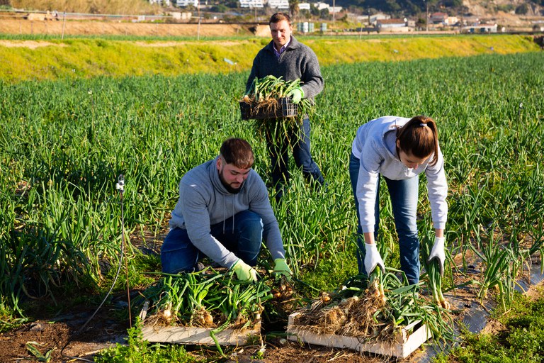 cooperativa iStock-1211506753.jpg