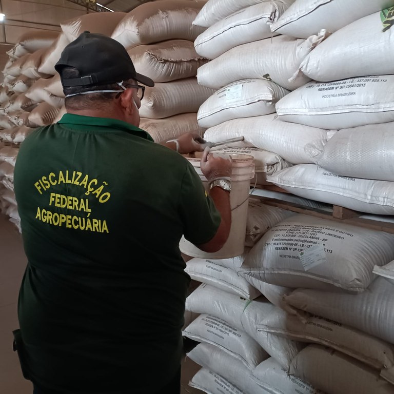 Fiscalização MS Sementes (novembro) (3).jpeg