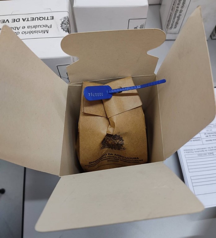 Fiscalização MS Sementes (novembro) (6).jpeg