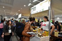 Mapa apresenta programa Bioeconomia Brasil no congresso da Iufro 2019