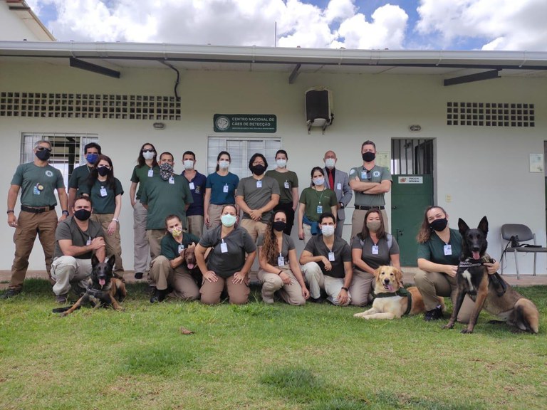treinamento cães2.jpeg