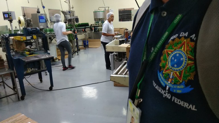 azeite_porto_feliz_tiago_Dokonal (7).jpeg