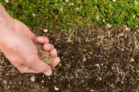 Mapa divulga estudos e pesquisas sobre Zoneamento Agrícola de Risco Climático