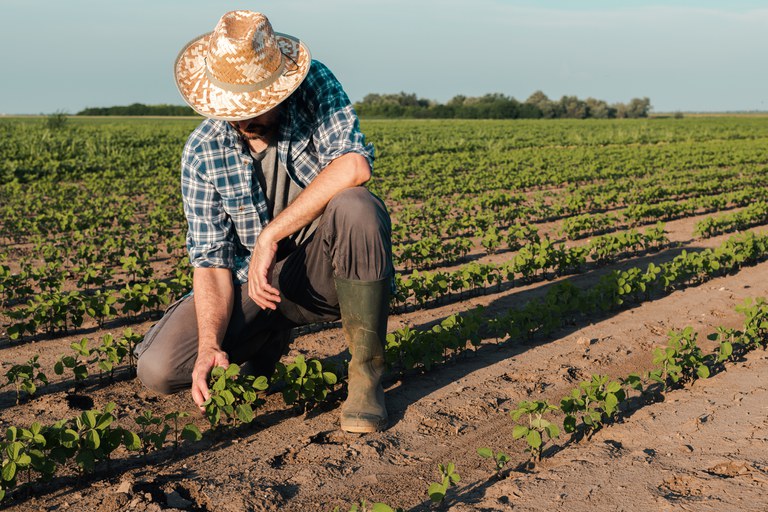 agricultor iStock-1160982519.jpg