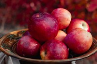 Mapa e ApexBrasil lançam estudo sobre mercado de maçãs na Colômbia