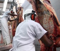 Mapa é autorizado a contratar 300 médicos veterinários concursados
