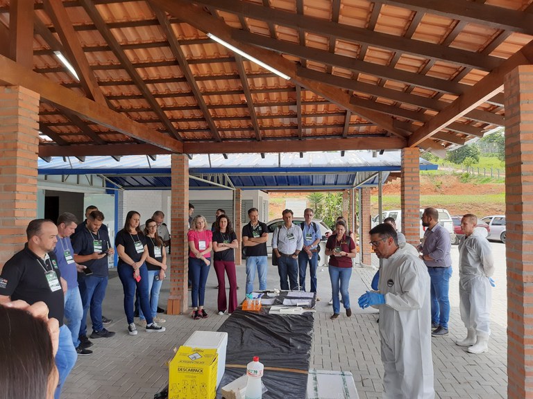 Simulado PSA SC (4).jpg