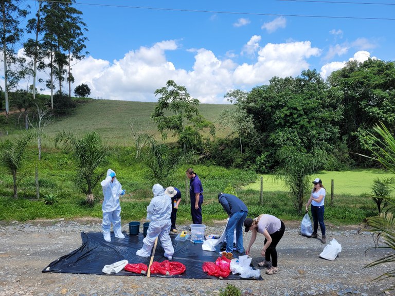 Simulado PSA SC (5).jpg