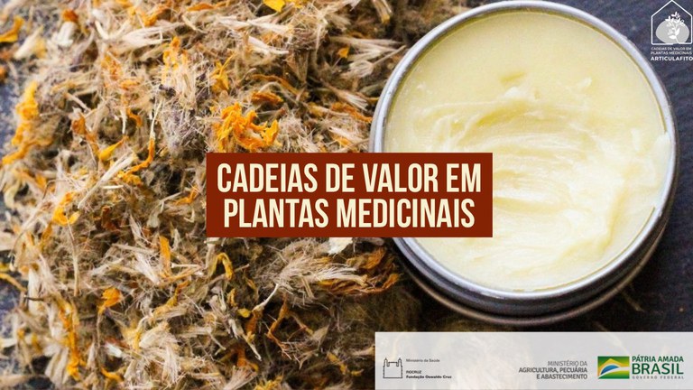 Cadeias de Valor em Plantas Medicinais