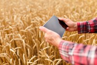 Mapa e IF Goiano firmam parceria para estimular inovação na agropecuária de Goiás