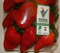 Mapa e Universidade Federal de Viçosa promovem curso sobre produção integrada