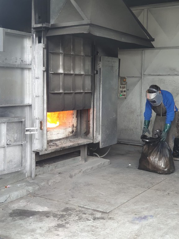 5orquideas_destruicao_virginia_germani (6).jpeg