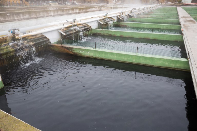 aquicultura iStock-927768574.jpg