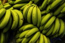 banana iStock-1167480271.jpg
